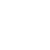 Vampire Skull