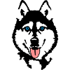 Husky