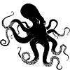 Black Octopus