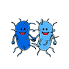 bacteria friendship love infection sick