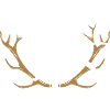 Magyar Vizsla / Weimaraner - Antlers