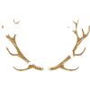 Bois d'Allemagne - Bois