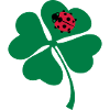Marienkäfer Kleeblatt