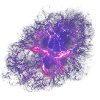 Nebula of the crab