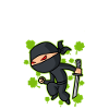 Ninja
