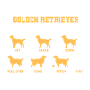 Golden Retriever Tricks