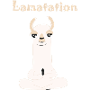 Llama alpaca