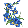 Blue lilies