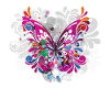 Papillon papillon insecte papillon