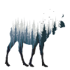Moose
