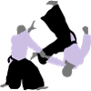 aikido