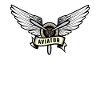 Pilot aviator