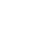 Basset Hound