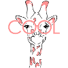 COOL GIRAFFES