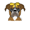chien avec un arc