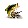 Angler fishing fishing fish