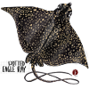 Eagle rays