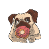 Pug and donut