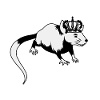 Rat King Rodent