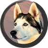 Husky