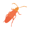 Retro beetle