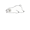 Sleeping llama
