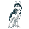 Cute Husky Dog Christmas Gift Dogs