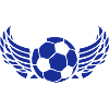 football wing ball