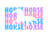 Cheval reitem cheval