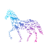 Cadeau d'équitation