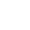 brandmeister