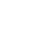 brandmeister