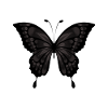 Schwarzer Schmetterling