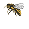 Bee Beekeeper Beekeeping Beekeeping