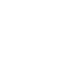 Lioness Mom Lioness Gift