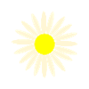 Gaensebluemchen