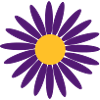 purple flower