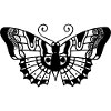Butterfly - Tattoo butterfly