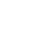 Automotive Mechanic Evolution