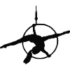 AerialHoop