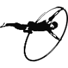 Cyr Wheel