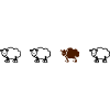 sheeps_1_f2