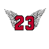 Basketball number 23 Michael Jordan
