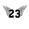 Basketball number 23 Michael Jordan
