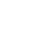 Kidney