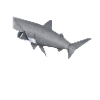 Origami Shark