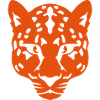 Wildtier Gepard Kopf 100