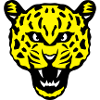 head leopards wild animals