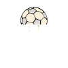 Soccer coach