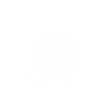 Dart
